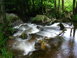 高山流水大全壁纸