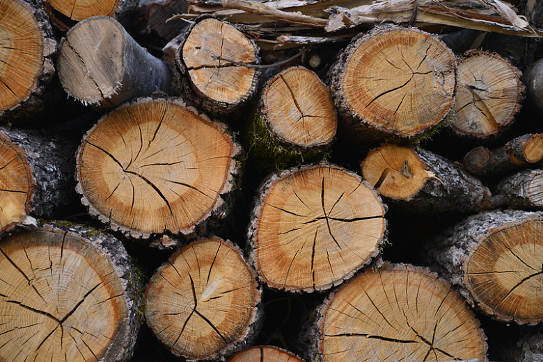 砍伐木材堆叠