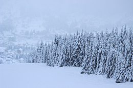冬季白色积雪景观
