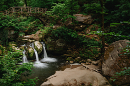 森林公园风景