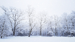 唯美浪漫雪花纷飞雪景