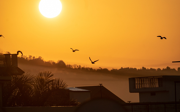 黄昏乡村房屋飞鸟日落