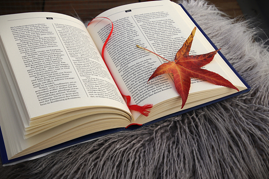 一本打开的书