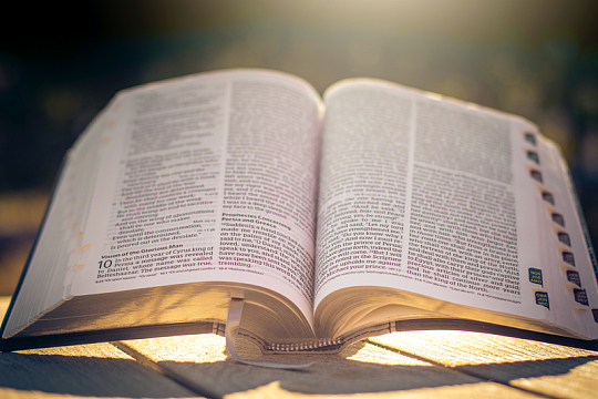 打开的英文书籍