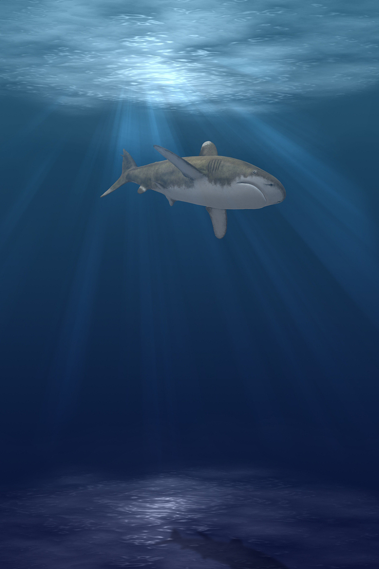 蓝色深海大鲨鱼