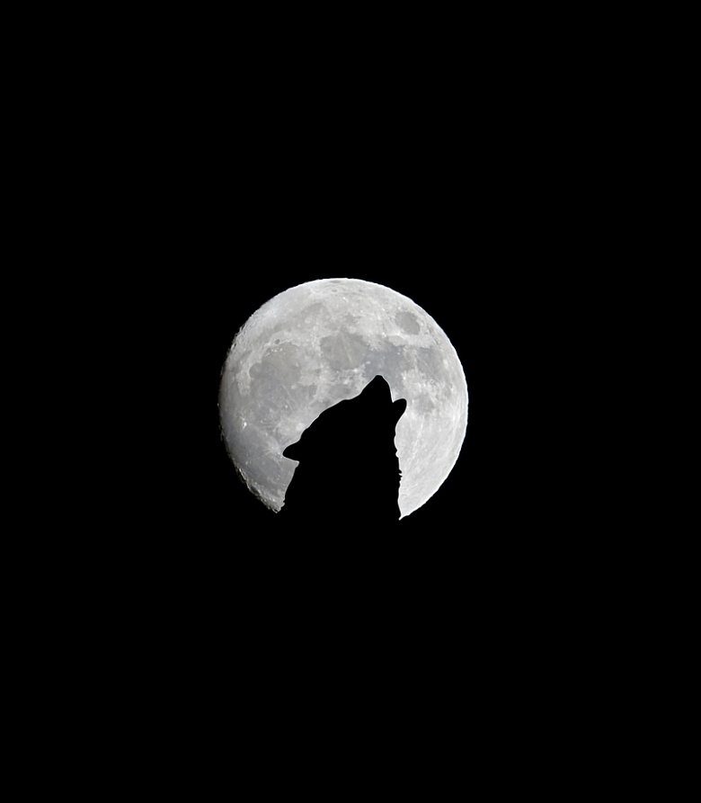 月圆之夜狼嚎