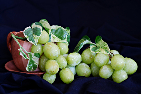 健康有机新鲜阳光玫瑰葡萄