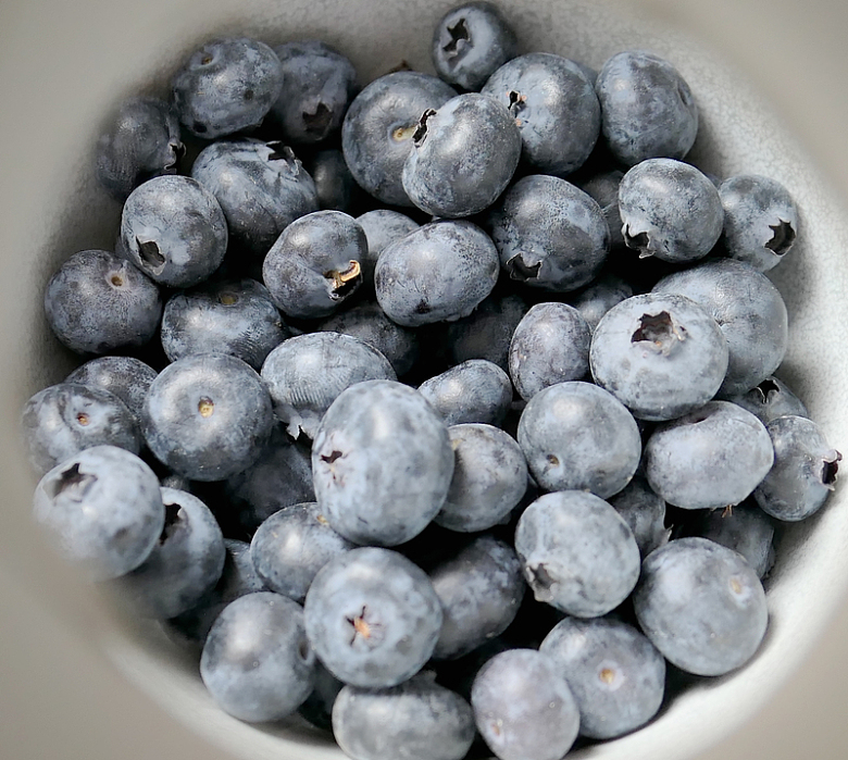 健康有机进口美国蓝莓