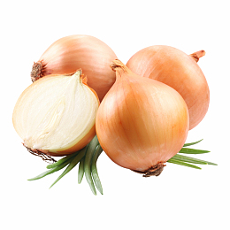 健康有机白色洋葱