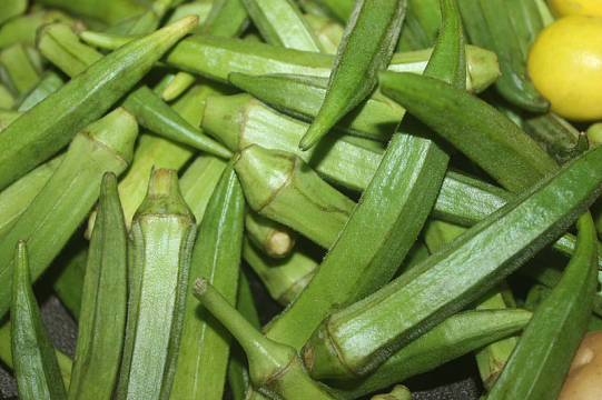 绿色秋葵蔬菜