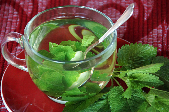 清新薄荷茶
