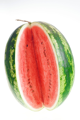 夏季有籽西瓜