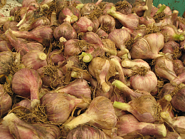 蔬菜蒜头