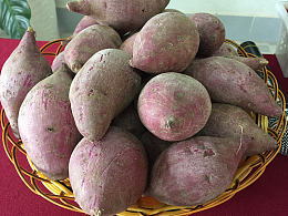 紫红薯