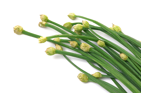 长有种子的青葱