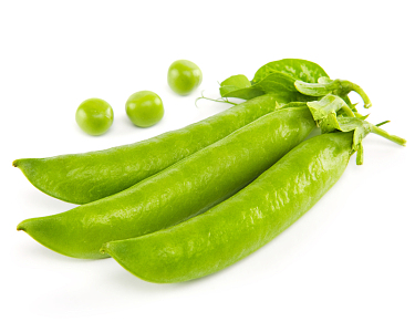 豌豆荚