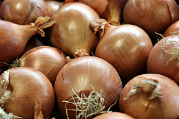 营养红皮洋葱