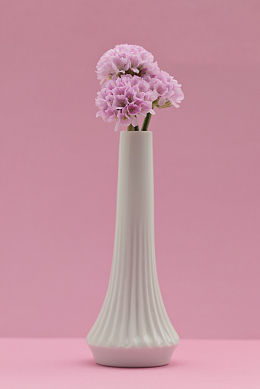 白色瓷器花瓶粉色插花