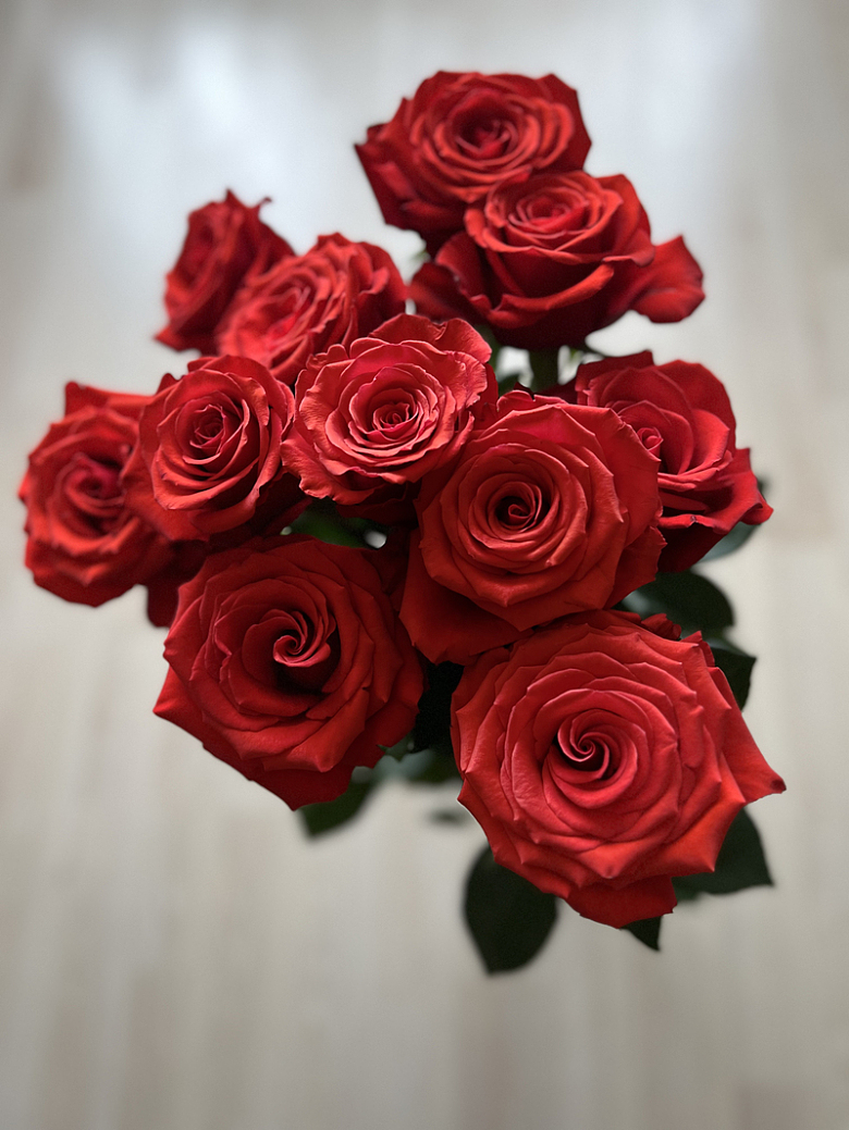 十一枝红玫瑰花束