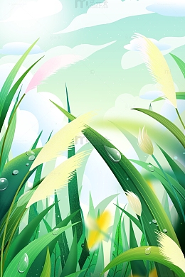 二十四节气白露手绘插画背景