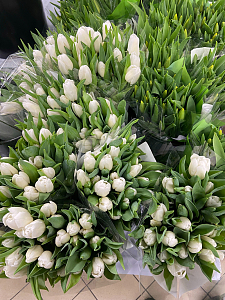 待售的白色郁金香花束