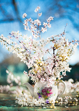春天白色桃花插花