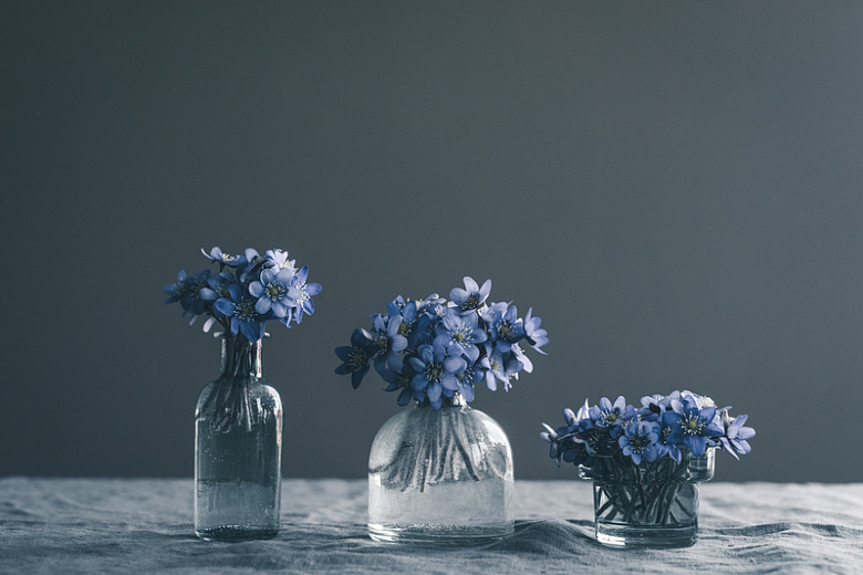 水培蓝色花朵