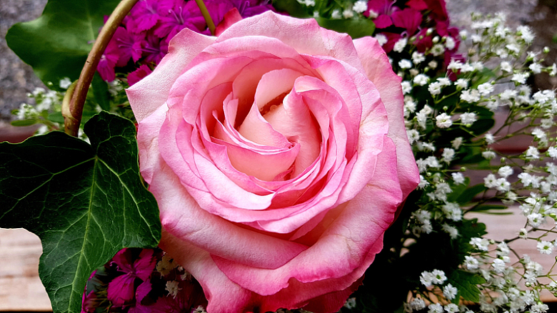 生日玫瑰花束