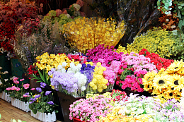 花店鲜花