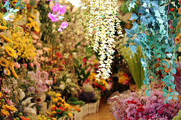 花店花卉