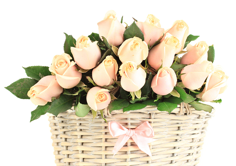 竹篮里的粉色玫瑰花