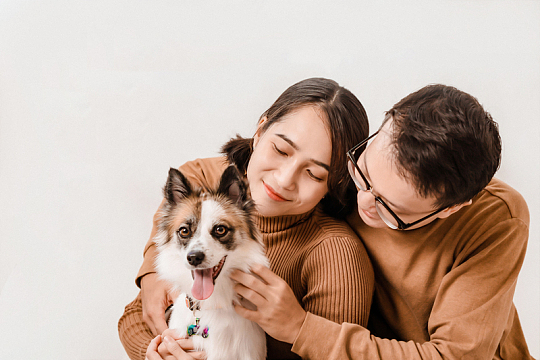 抱着萌犬合影的亚洲情侣