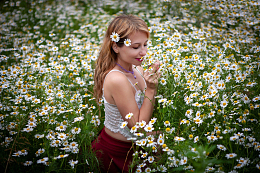 白色洋甘菊花海美女风景写真