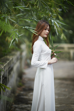 气质白色奥黛服美女写真