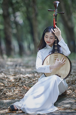 奥黛旗袍美女弹琵琶