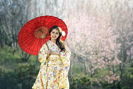 樱花林日本和服美女