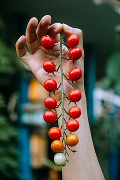 手拿一串圣女果