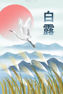 白露场景白鹭芦苇山水