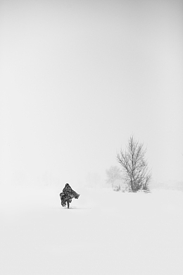 风雪中行走的背影