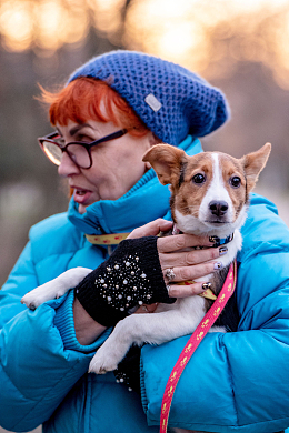 怀抱萌狗的老太太