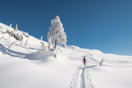 冬季雪地行走的人物背影