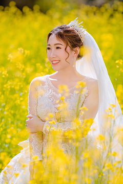 黄色油菜花海婚纱
