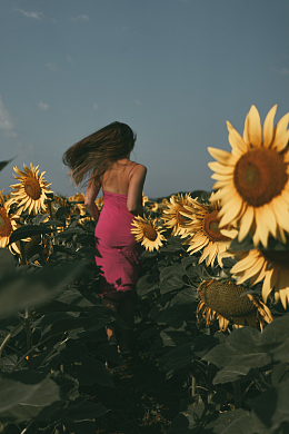 向日葵田中的女人背影