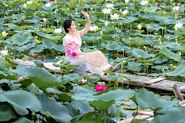 荷花塘美女泛舟
