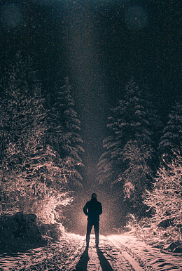 冬季夜晚雪地松树林人物背影