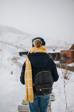 美女雪地上行走背影