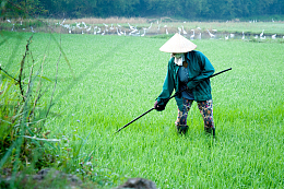 农民干农活