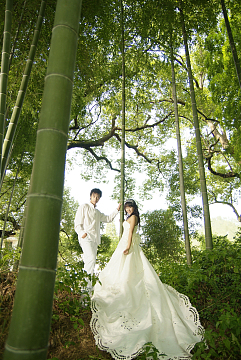 竹林情侣婚纱照