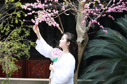 古装汉服侧颜美女