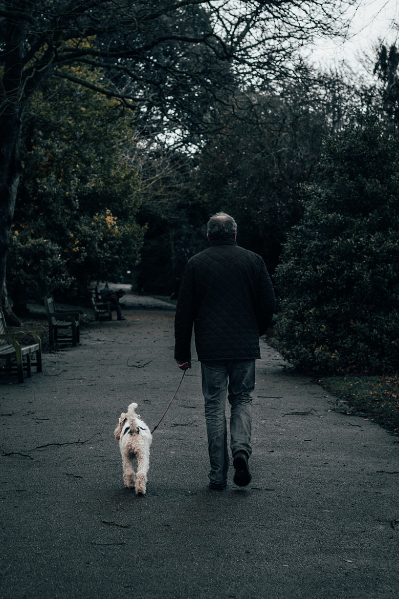 老人遛狗散步背影